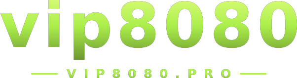 vip8080 logo